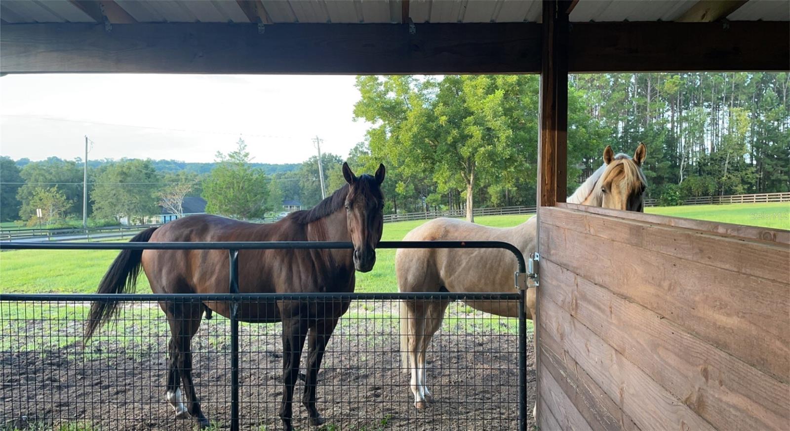 SHAW FARMS OF ALACHUA - Residential