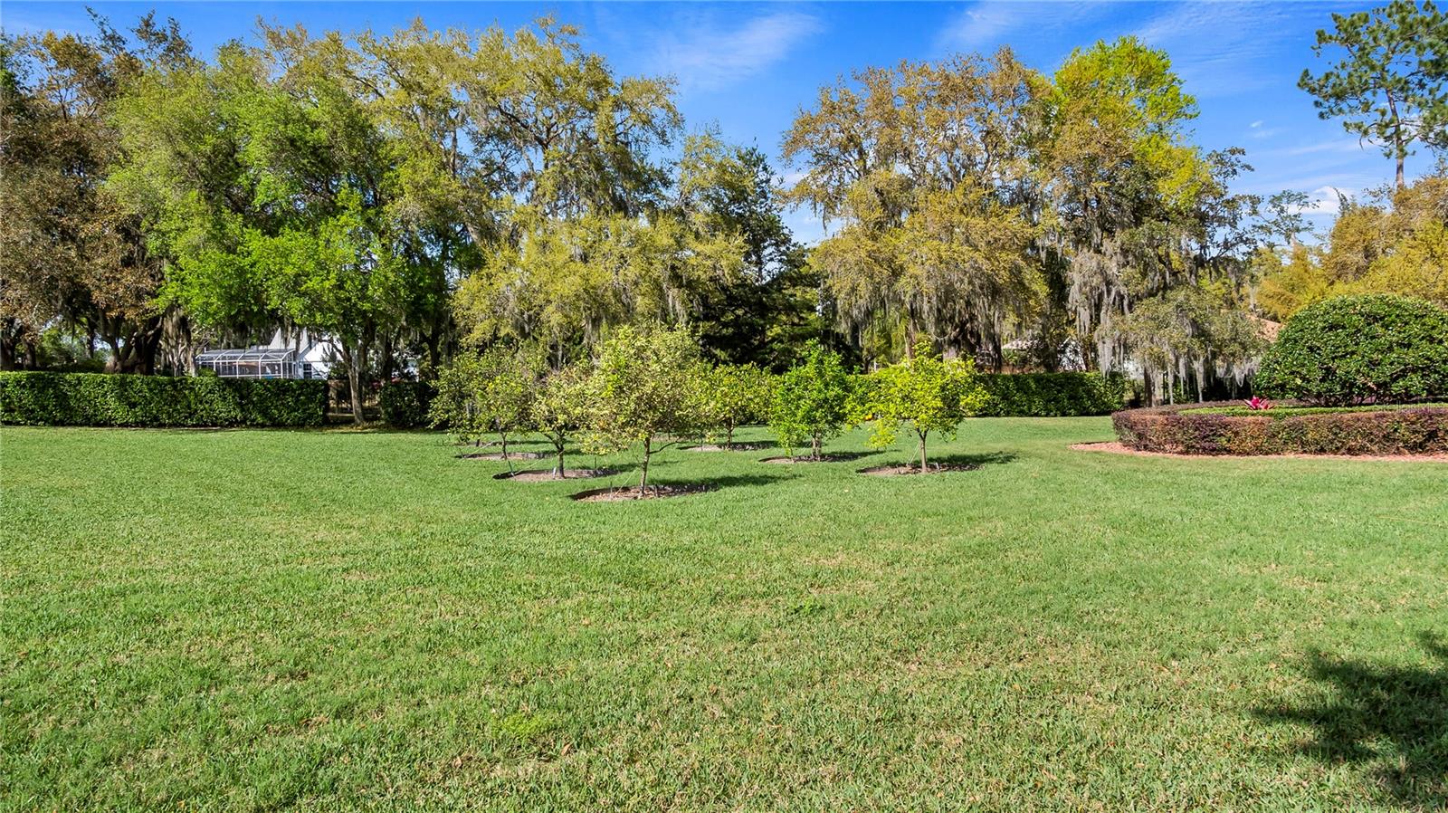 GROVELAND FARMS 13-23-25 - Residential