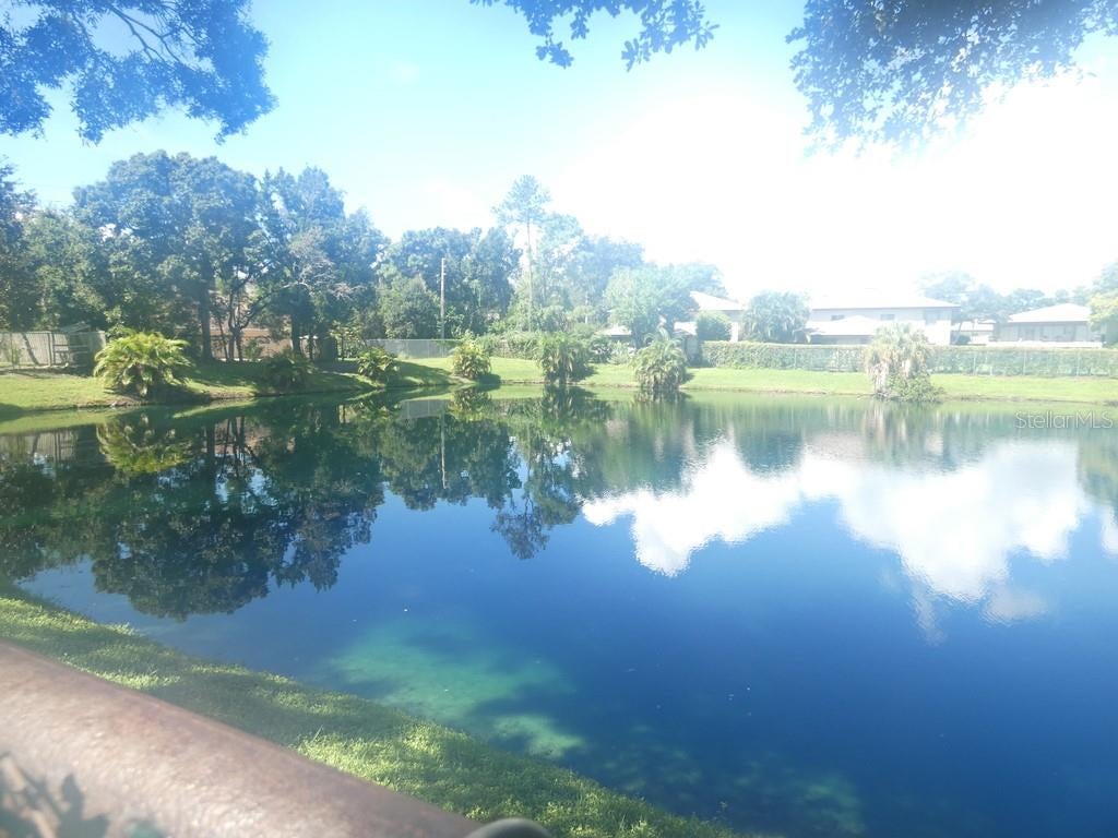 Photo of 104 Bough Avenue #104, Clearwater, FL 33760 (MLS # W7889113)