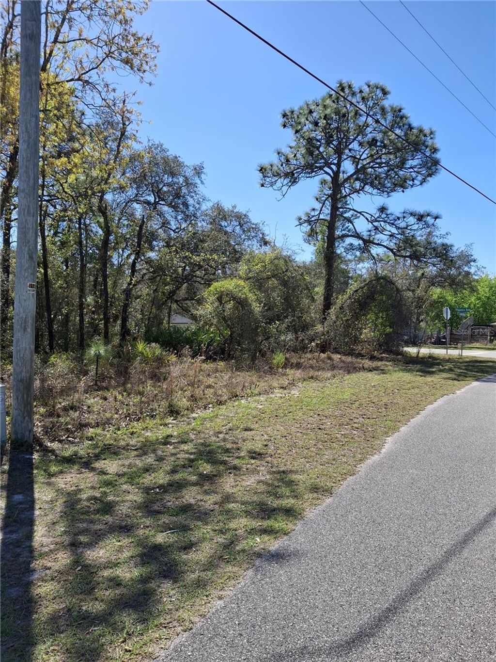 Photo of 11500 Lomita Wren Road, Weeki Wachee, FL 34614 (MLS # TB8494119)