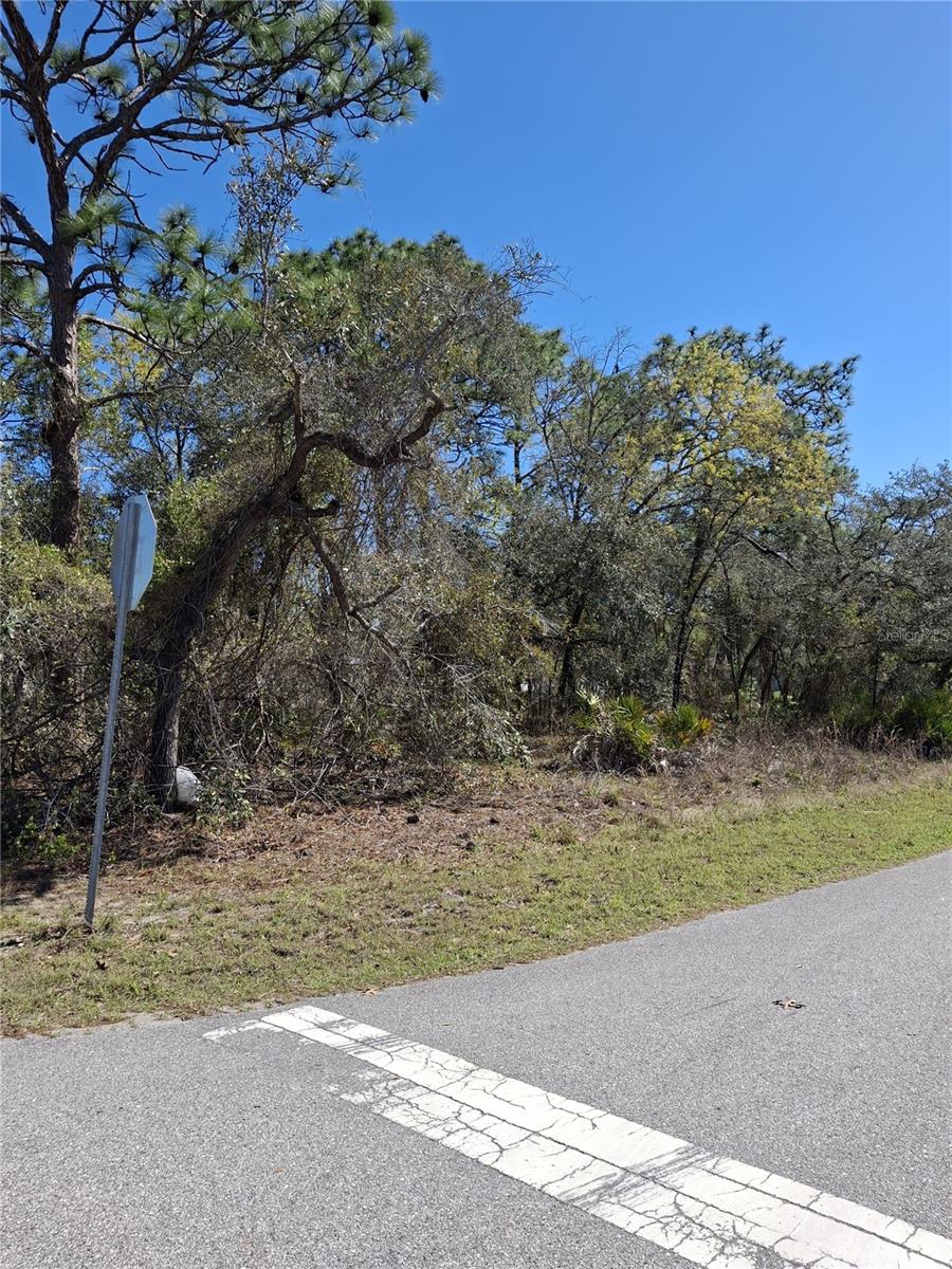 ROYAL HIGHLANDS - Land