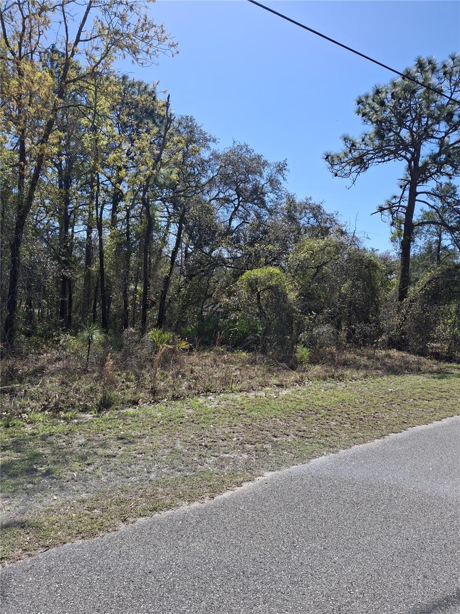 ROYAL HIGHLANDS - Land