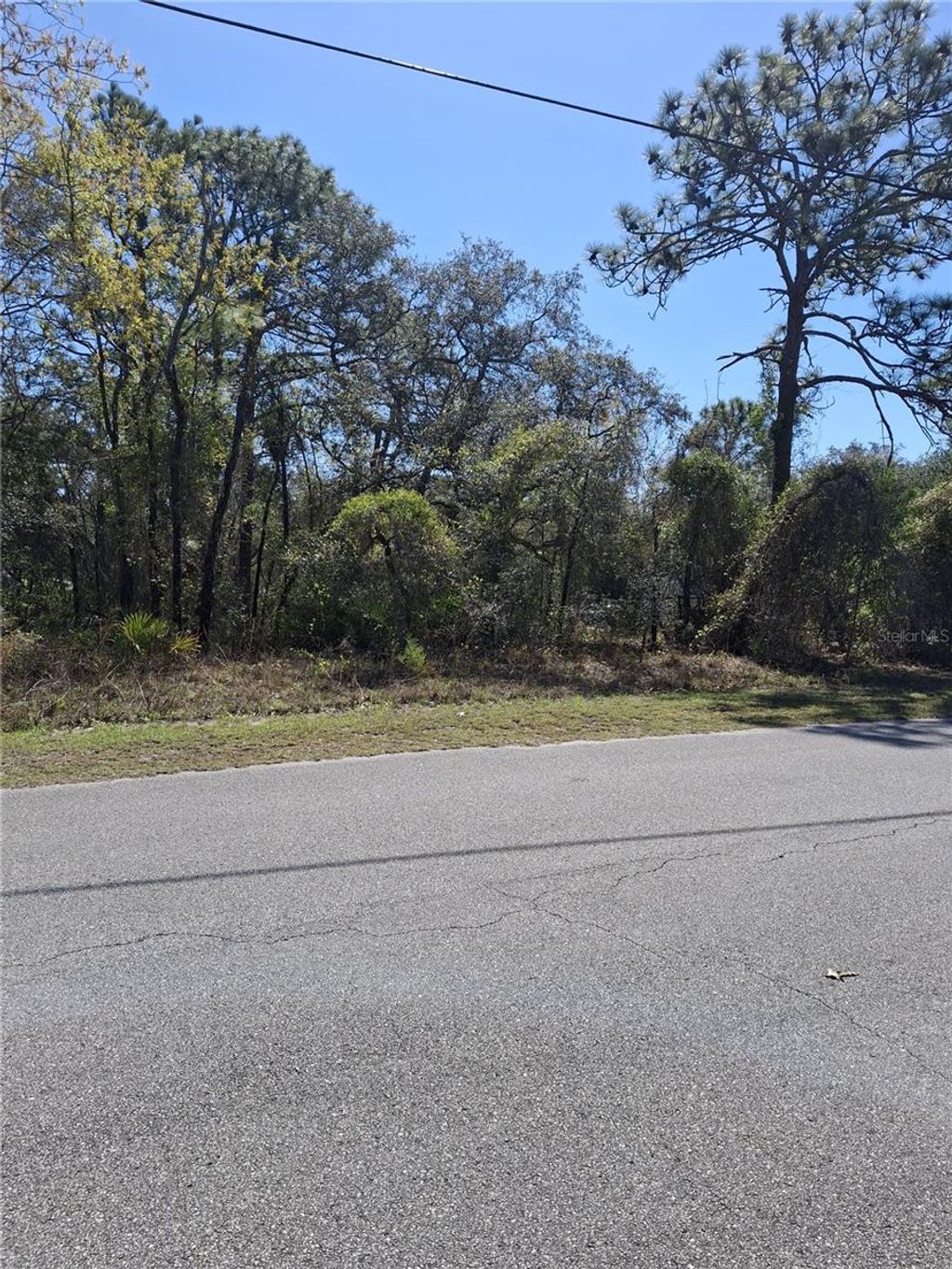 Photo of 11500 Lomita Wren Road, Weeki Wachee, FL 34614 (MLS # TB8494119)