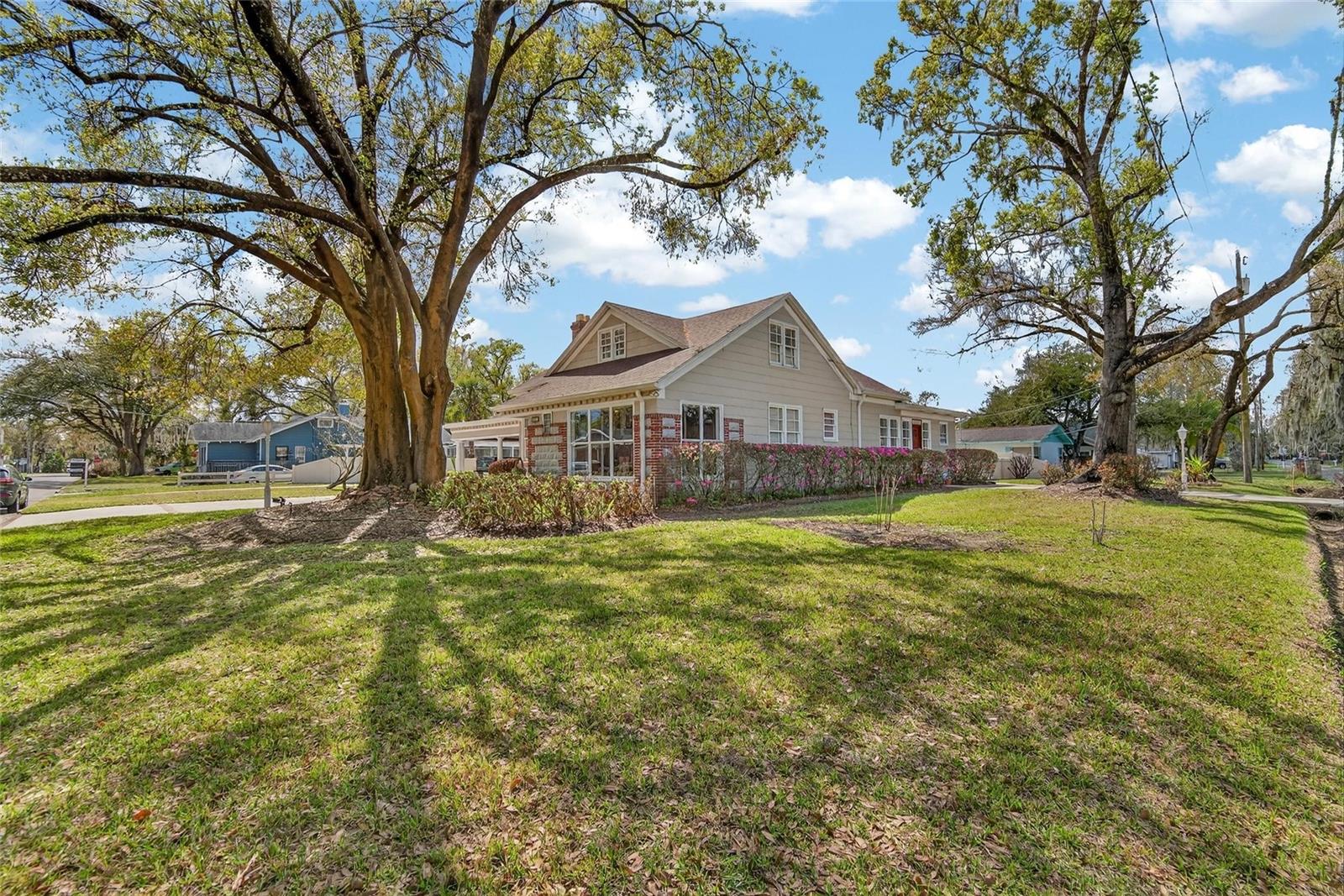 WASHINGTON PARK - Residential
