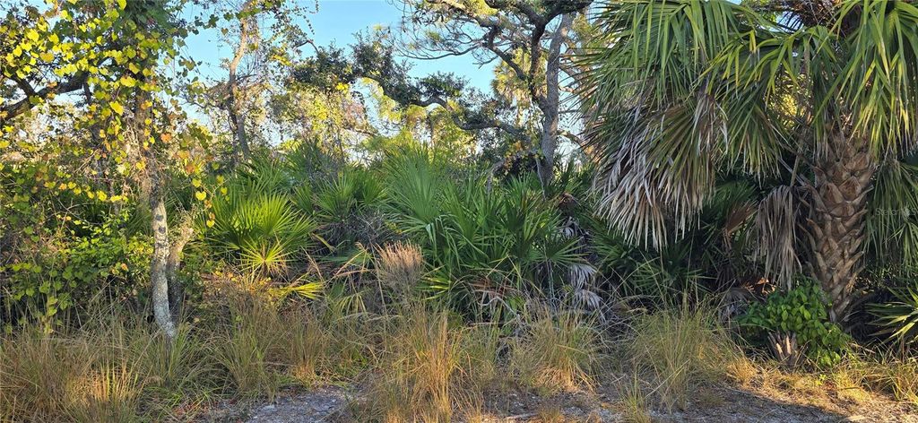 Photo of Lemon Avenue, Englewood, FL 34223 (MLS # D6144885)