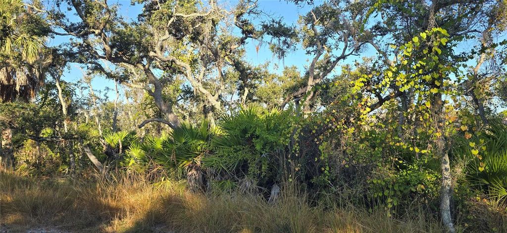 Photo of Lemon Avenue, Englewood, FL 34223 (MLS # D6144885)