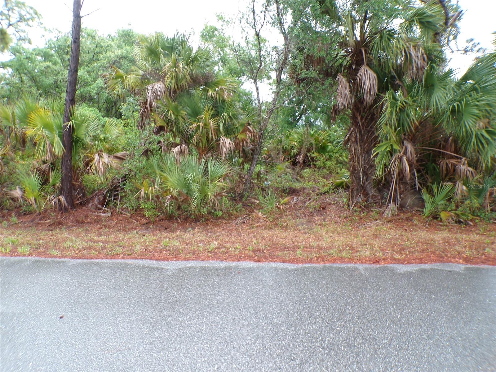 PORT CHARLOTTE SEC 024 - Land