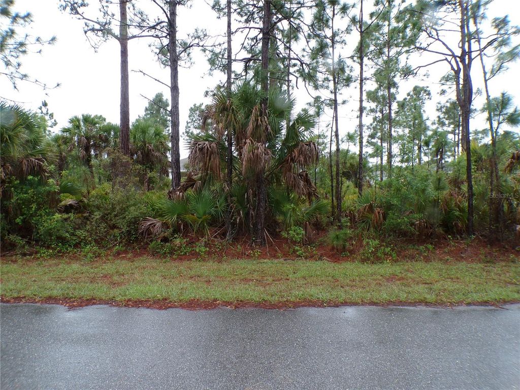 Photo of 14333 Harcourt Avenue, Port Charlotte, FL 33953 (MLS # C7524562)