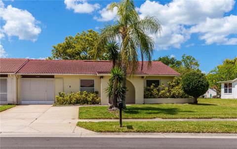 Photo of 11341 Winwood Place, Port Richey, FL 34668 (MLS # W7884520)