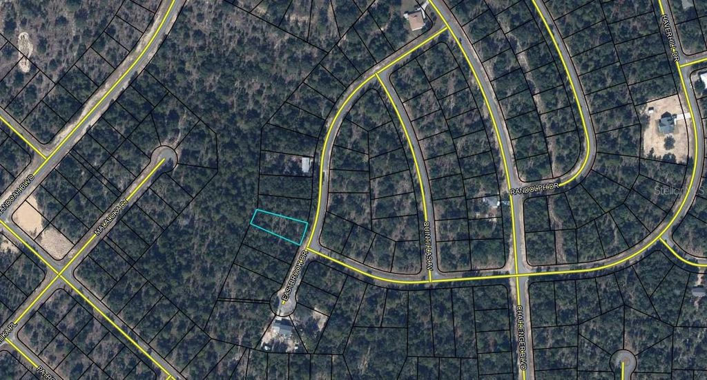 Photo of 13 Eastbrook Drive, Chipley, FL 32428 (MLS # OM721689)