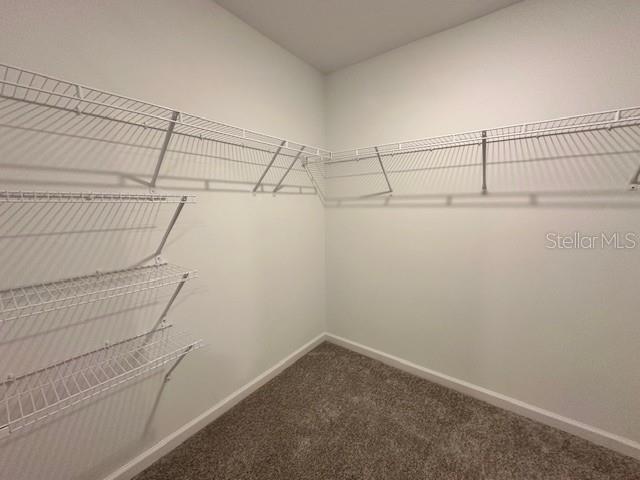 MARION RANCH - Residential Lease