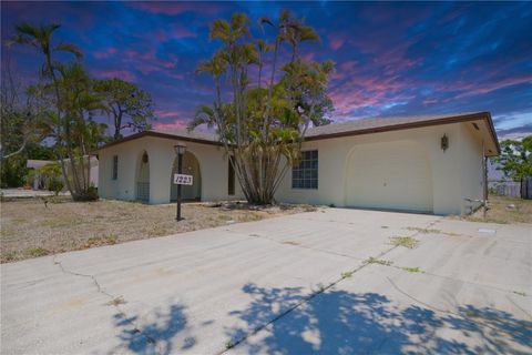 1223 DE NARVAEZ AVENUE BRADENTON FL 34209