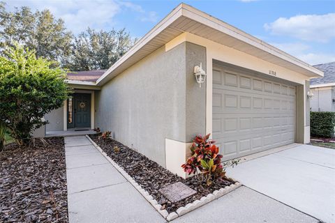 Photo of 11708 Crest Creek Drive, Riverview, FL 33569 (MLS # TB8441991)