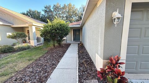 11708 CREST CREEK DRIVE RIVERVIEW FL 33569