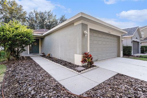 11708 CREST CREEK DRIVE RIVERVIEW FL 33569