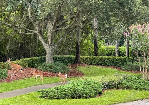 A home in KISSIMMEE