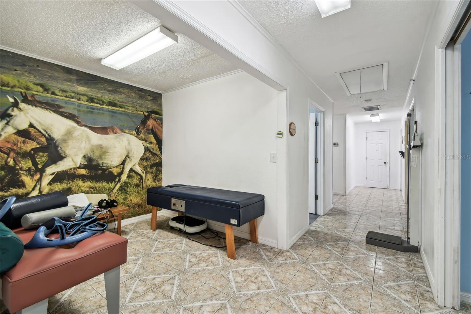 GOLDEN ACRES - Commercial Sale