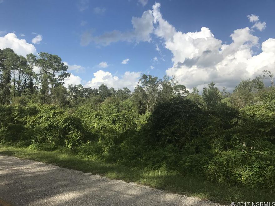 2.5 acre lot available on a paved road, only minutes from SR 44. Build your future country living dream home on this great street.  This lot has lovely trees and is ready to build on. Bring your builders.; Cleared: No ;Water: Available at Site