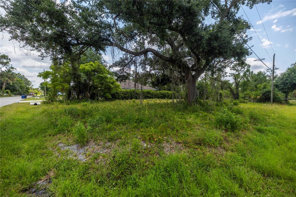 Photo of D Allyon Drive, North Port, FL 34287 (MLS # A4609712)