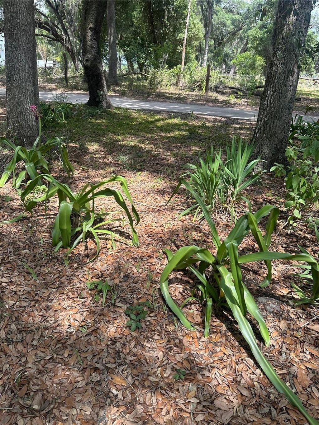 Photo of 9068 SE 12th Drive, Webster, FL 33597 (MLS # TB8504851)