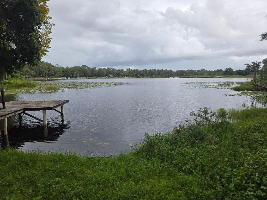 Photo of 9825 Lake Georgia Drive, Orlando, FL 32817 (MLS # O6347968)
