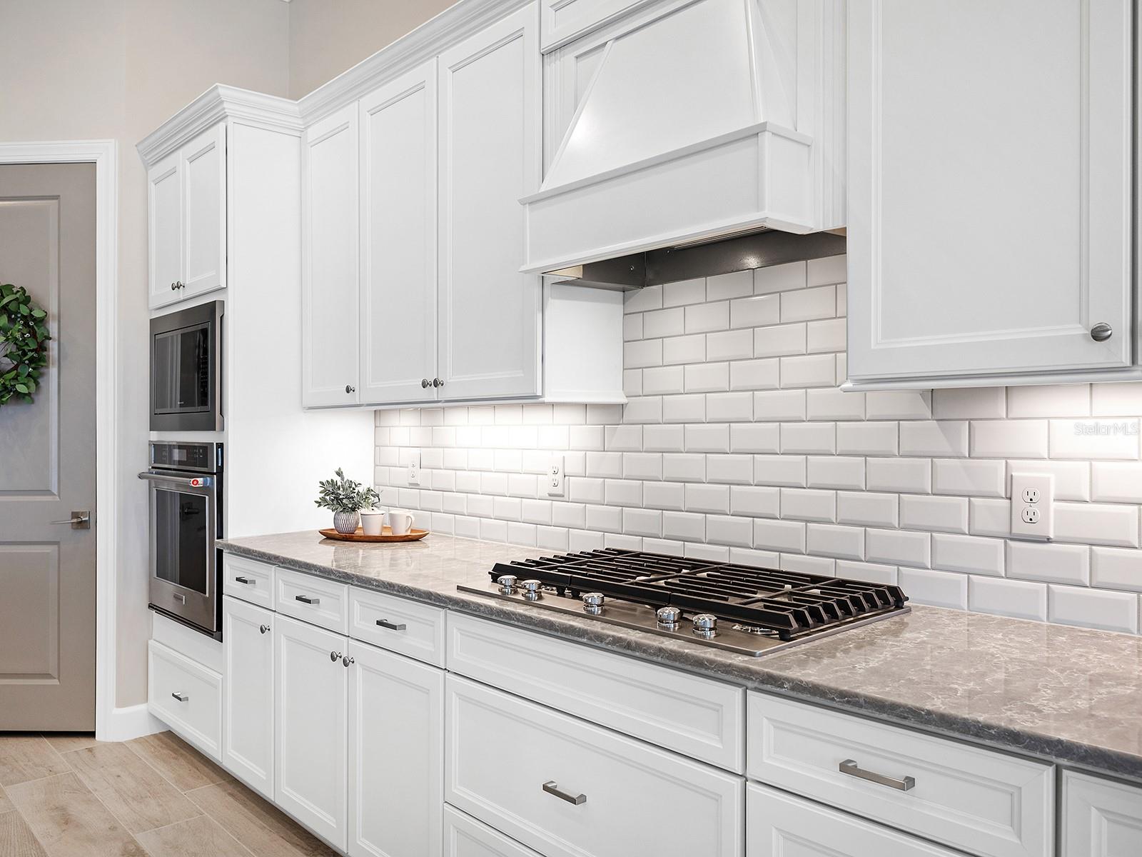 SHOREVIEW AT LAKEWOOD RANCH WATERSIDE - Residential