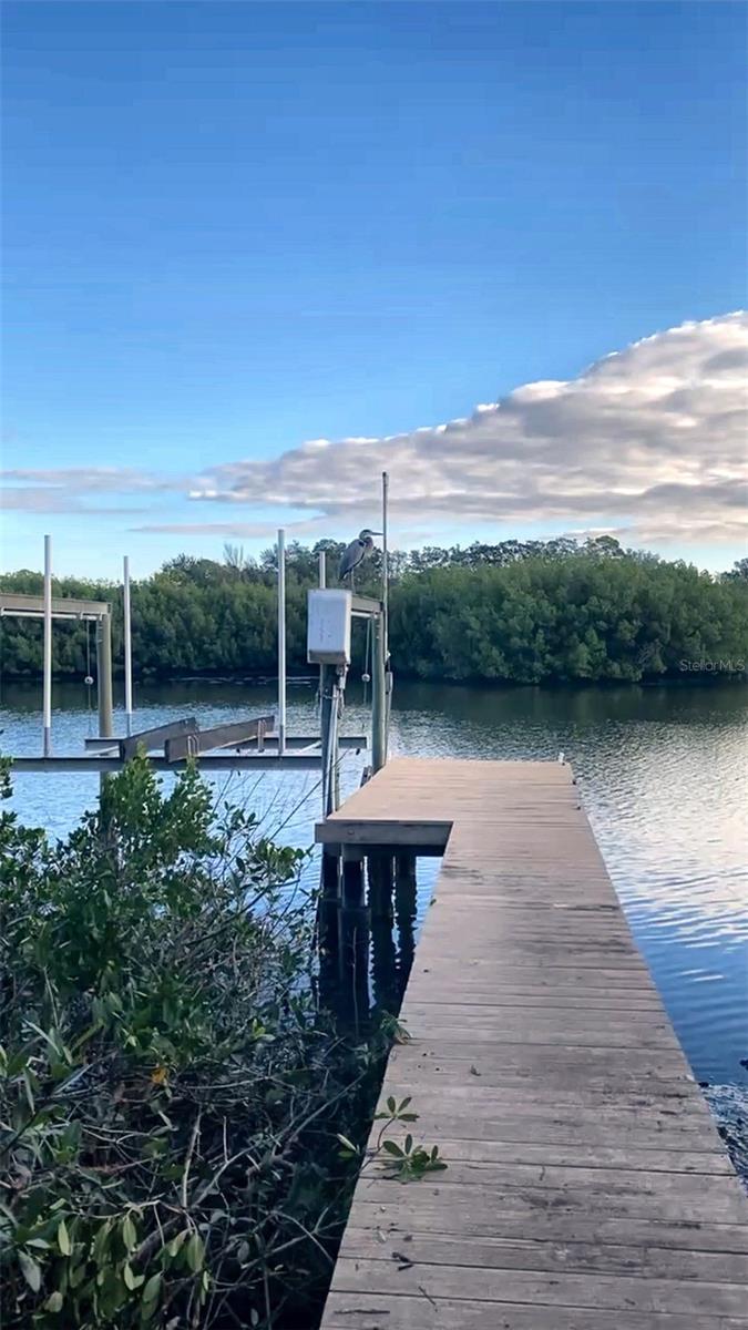 Photo of 3090 Phoenix Avenue, Oldsmar, FL 34677 (MLS # TB8558274)