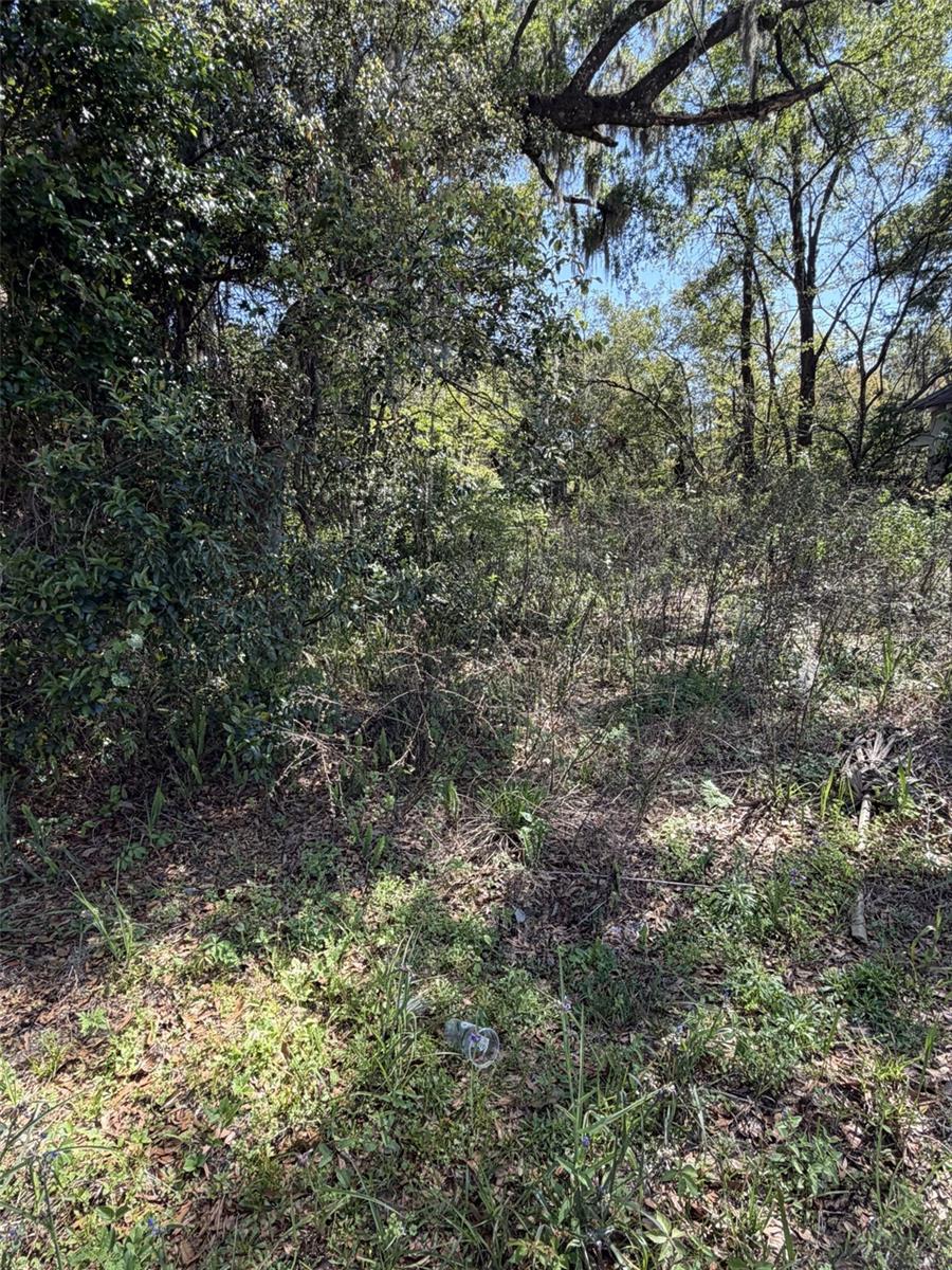 NORTH BLVD HIGHLANDS - Land