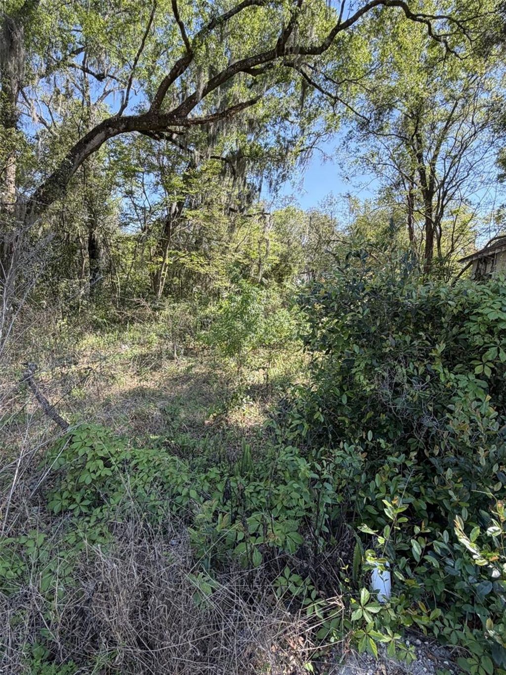 Photo of 110 E Mercers Fernery Road, Deland, FL 32724 (MLS # V4948006)