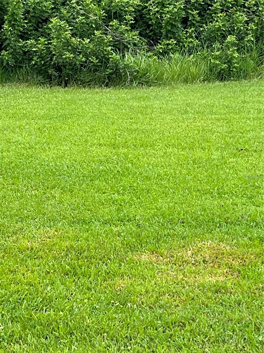 PORT CHARLOTTE SEC 005 - Land