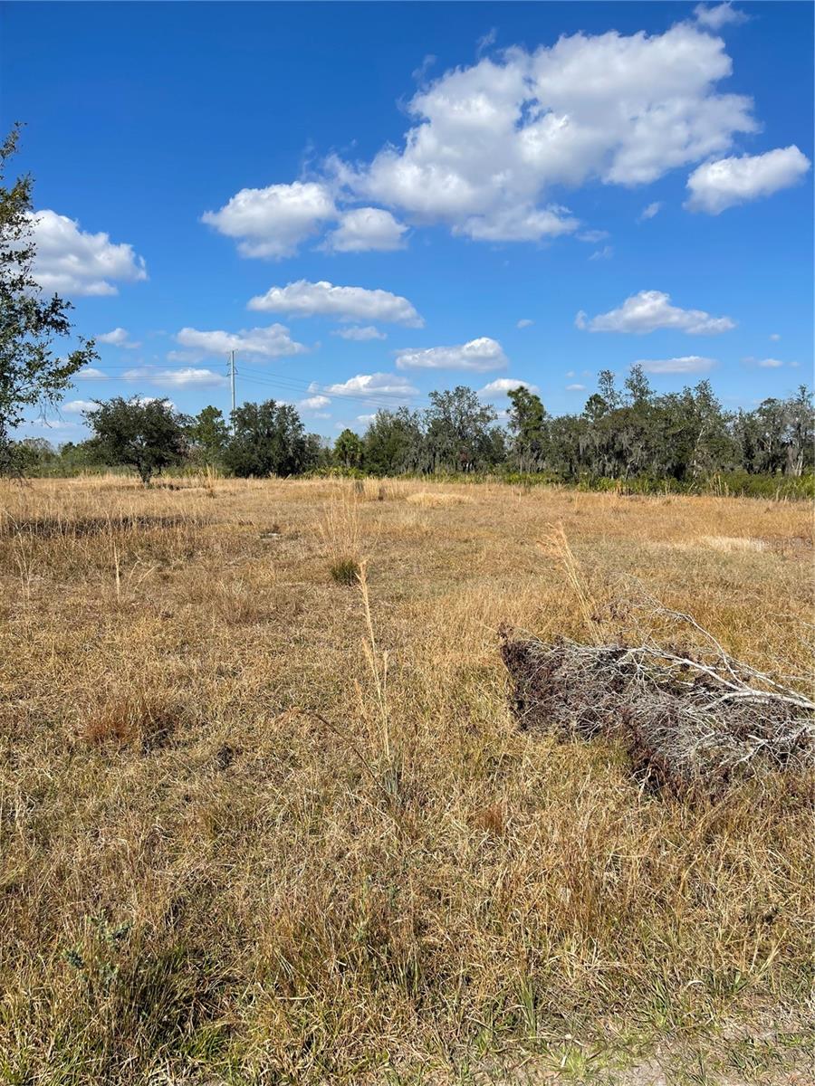 LAKE WALES ESTS TRACT 561 SEC - Land