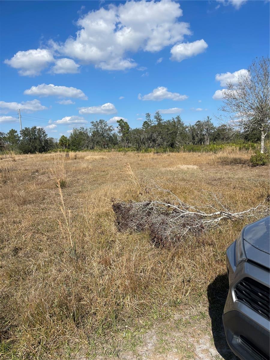 LAKE WALES ESTS TRACT 561 SEC - Land