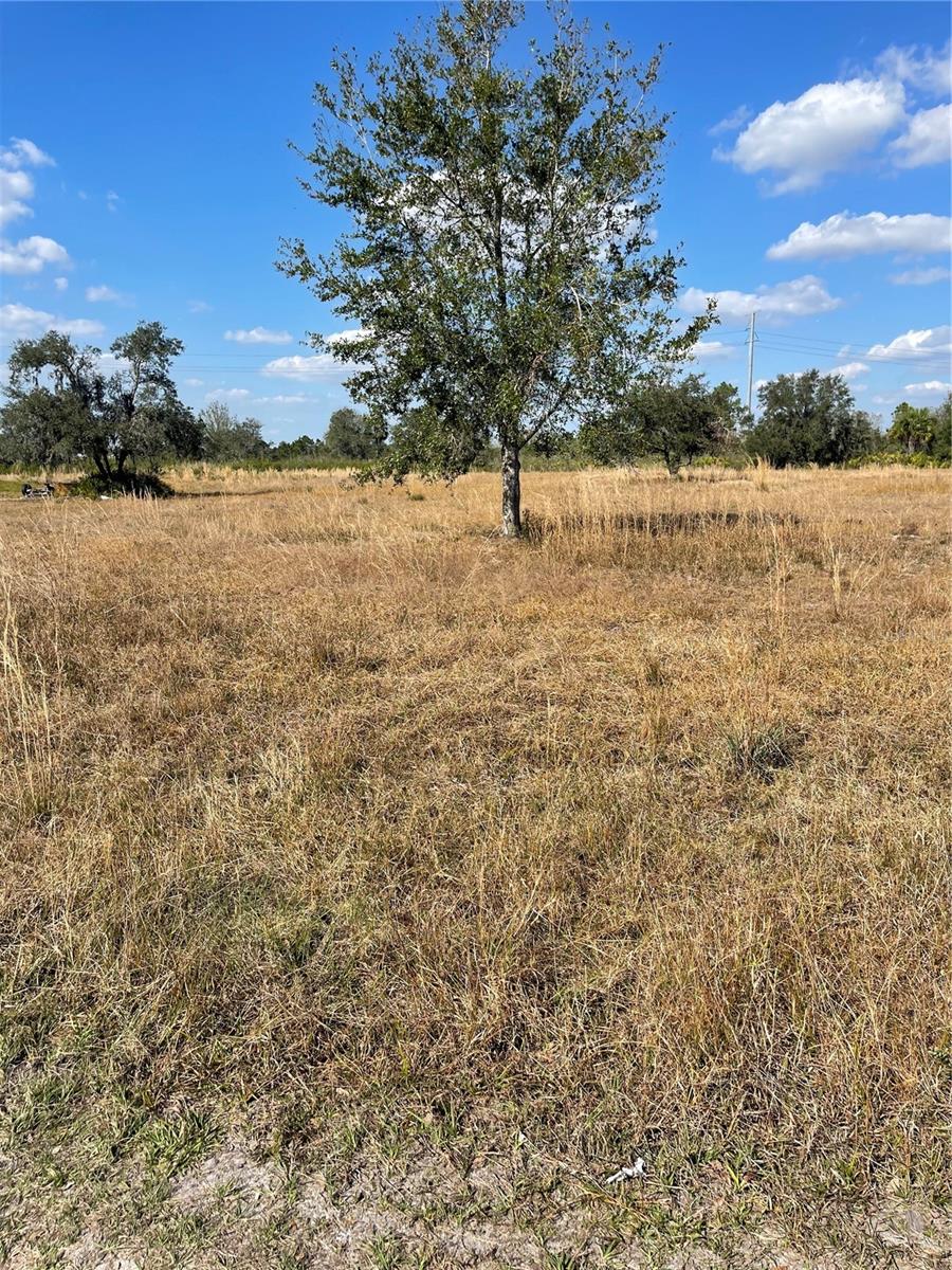 LAKE WALES ESTS TRACT 561 SEC - Land