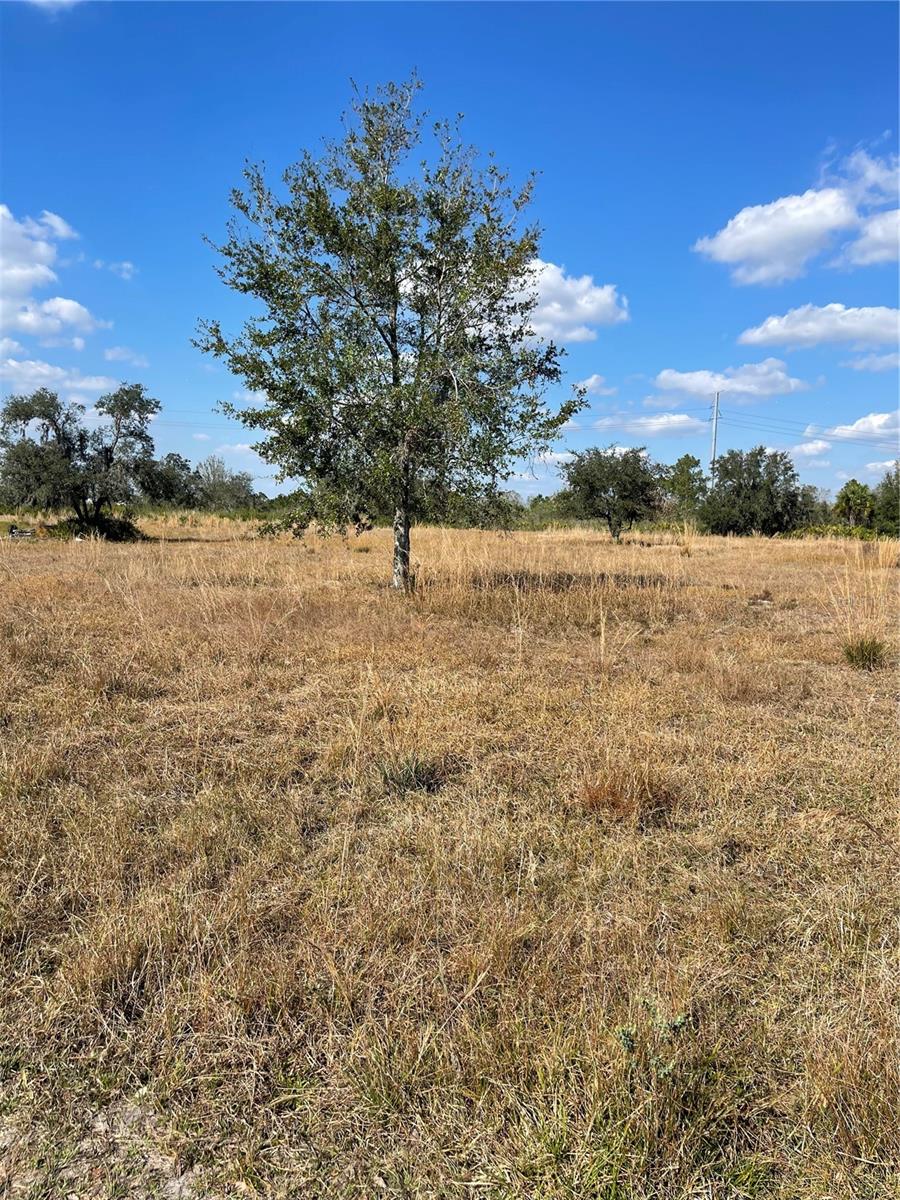 LAKE WALES ESTS TRACT 561 SEC - Land