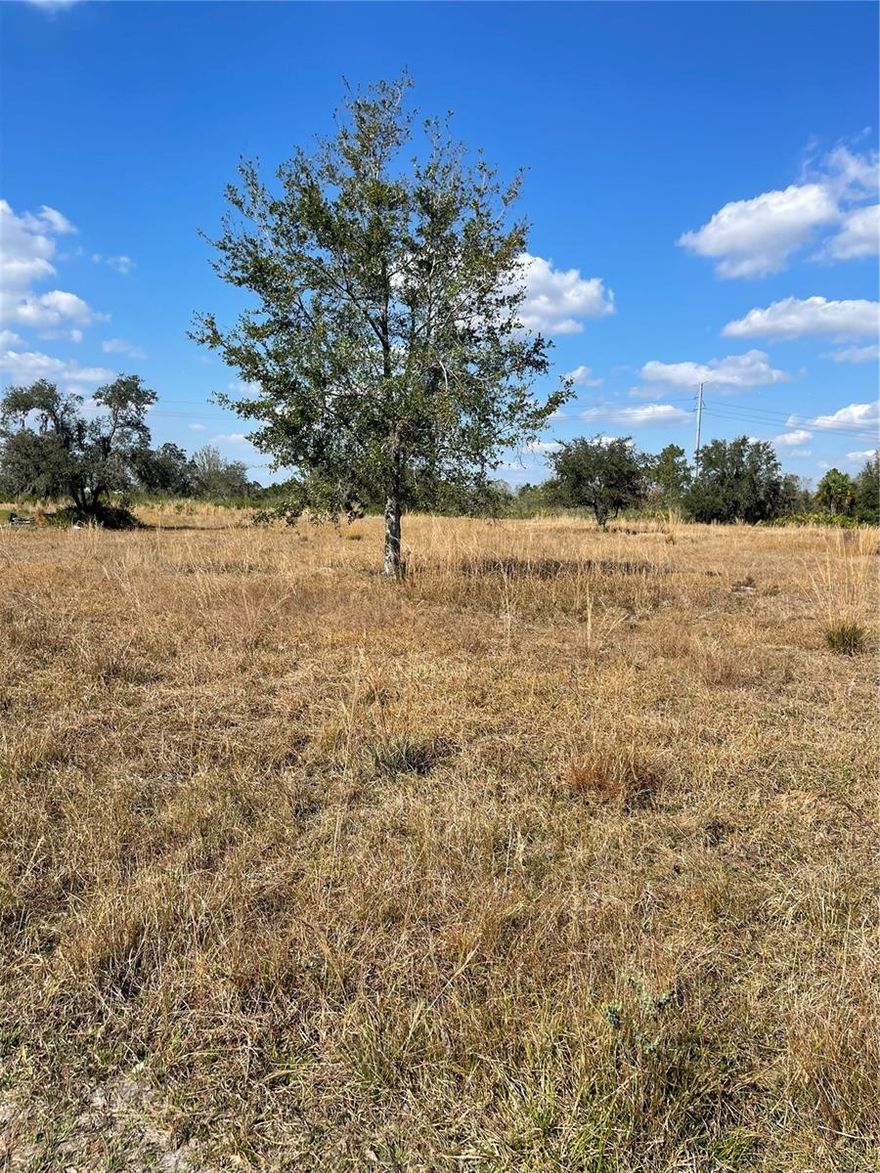HIGH & DRY 1.16 ACRE PARCEL WITH SOME OAK TREES! GO BOATING & FISHING IN THE COMMUNITY LAKE TOO (ONLY ONE BLOCK AWAY). BUILD YOUR DREAM HOME OR INSTALL A MODULAR HOME. LAND IS EXTREMELY HIGH GROUND AND OUT OF A FLOOD ZONE. REASONABLY PRICED COUNTRY LIVING. SEPTIC AND WELL IS NEEDED AND ELECTRIC IS AVAILABLE. VOLUNTARY ASSOC. DUES OF ONLY $75 optional P/ YR HELPS UPKEEP OF BOAT RAMP & ROAD. CLEAN LOT READY TO BUILT A NEW HOUSE OR MANUFACTURE HOME. SELLERS ARE MOTIVATED AND PRIVATE SELLER FINANCING AVAILABLE WITH HALF A DOWN. TERMS AND CONDITIONS IT IS NEGOTIABLE.