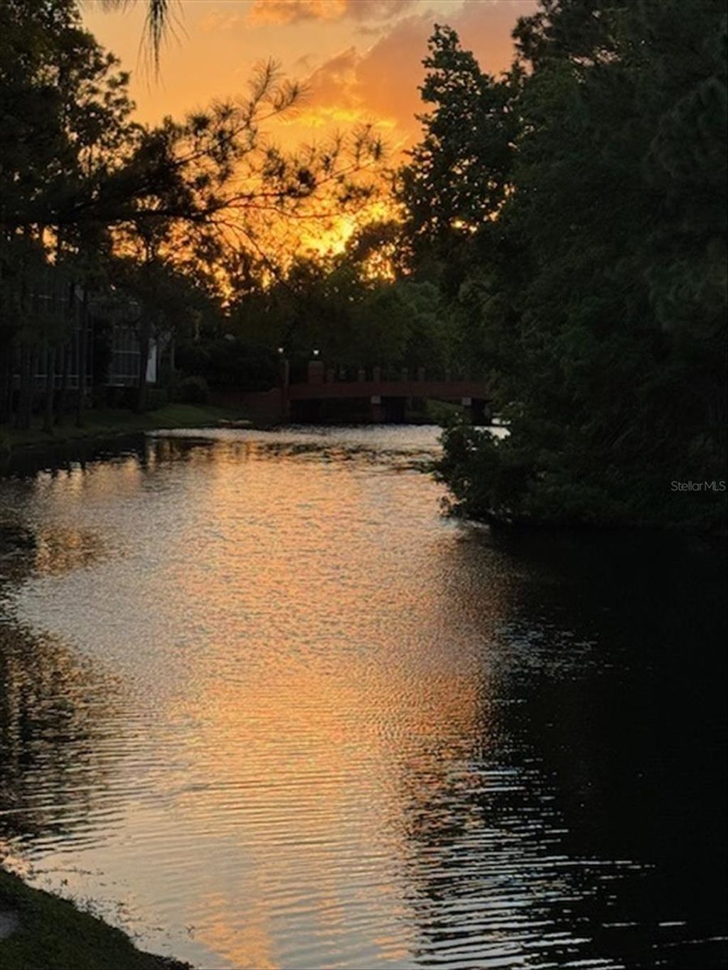 listing image 51