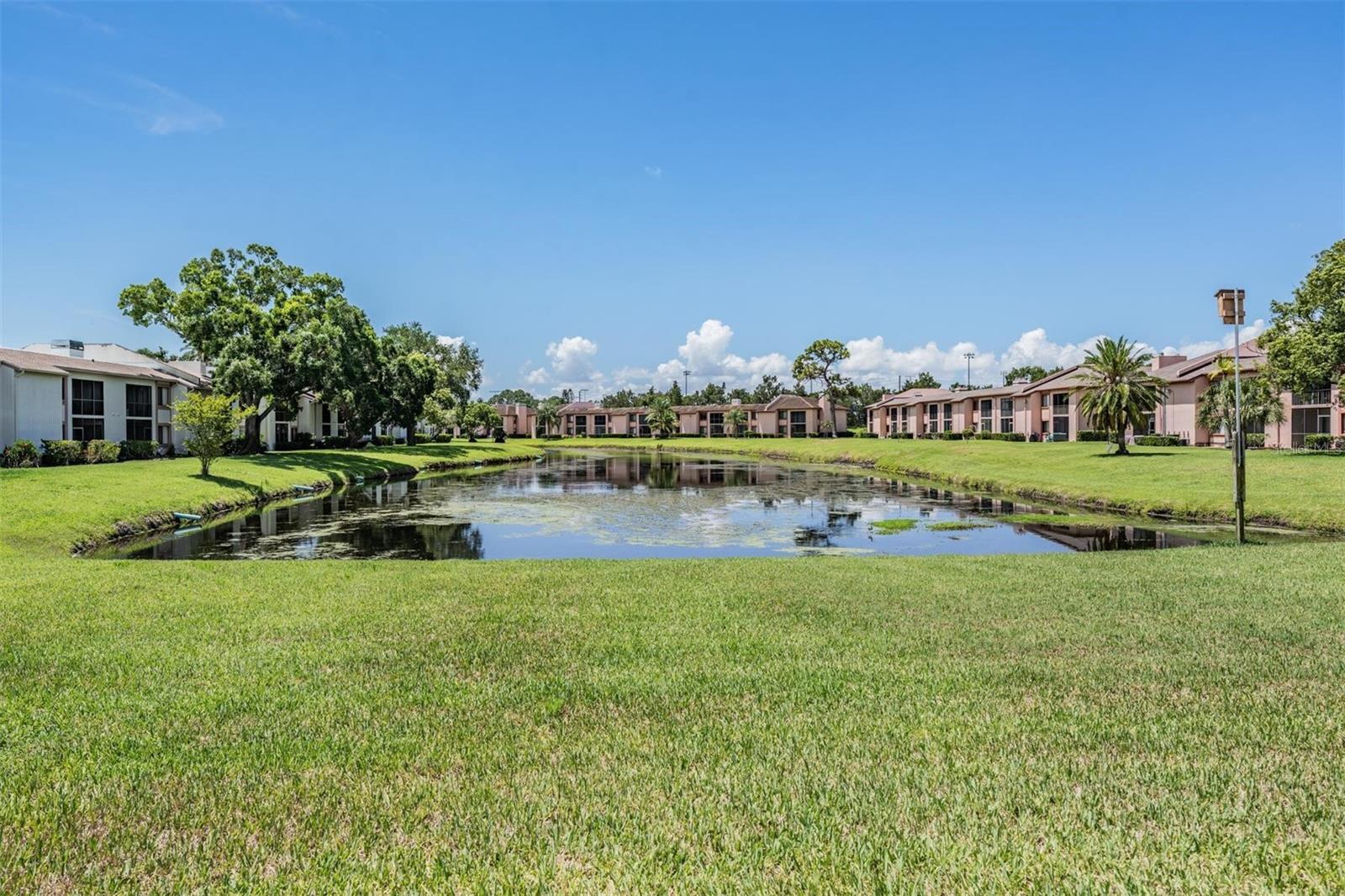 EAST LAKE WOODLANDS CONDO - Residential