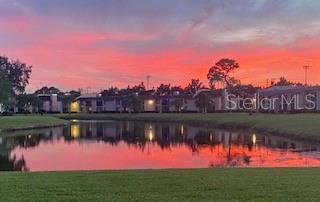 EAST LAKE WOODLANDS CONDO - Residential