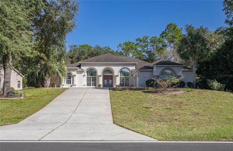 Tiny photo for 124 Corkwood Boulevard, Homosassa, FL 34446 (MLS # OM709301)