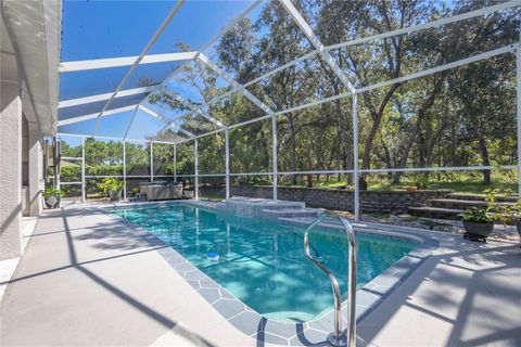 Tiny photo for 124 Corkwood Boulevard, Homosassa, FL 34446 (MLS # OM709301)