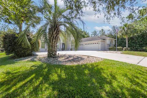 124 CORKWOOD BOULEVARD HOMOSASSA FL 34446