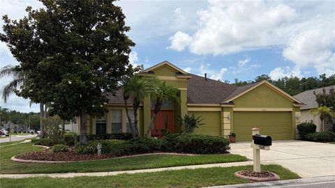 Photo of 19640 Bergenfeld Drive, Land O Lakes, FL 34638 (MLS # TB8511157)