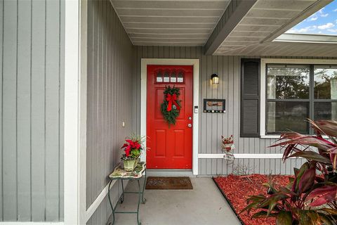 A home in MOUNT DORA