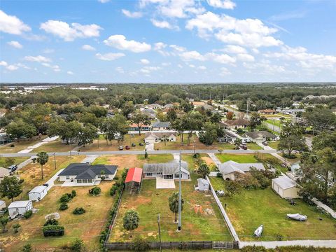 A home in MOUNT DORA