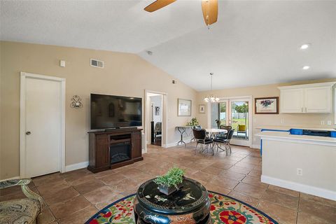 A home in MOUNT DORA