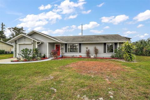 A home in MOUNT DORA