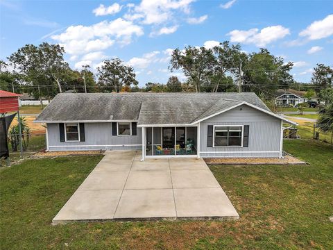 A home in MOUNT DORA