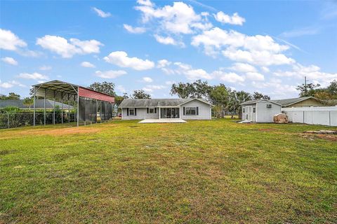 A home in MOUNT DORA