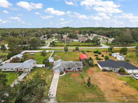 A home in MOUNT DORA