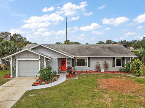 A home in MOUNT DORA